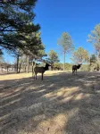New! Whispering Bluff Luxury Retreat~ Beautiful Sierra Blanca Views