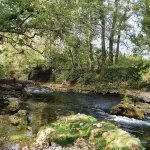 Charming apartment in a Provencal country house, private beach, riverside