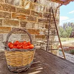 Masseria Fracchicchi Hotel di Galatone