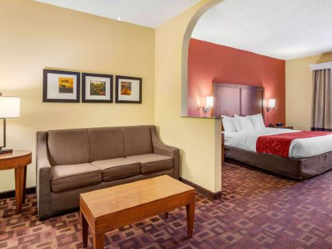 Comfort Suites - Near the Galleria