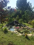Joglo Java Hotels near Berkah durian mas riyanto