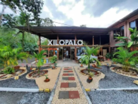 Arenal Xilopalo