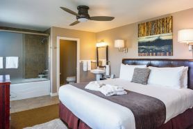 Bird Rock Hotel