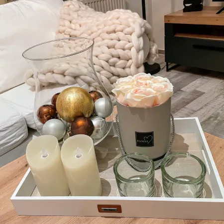 Apartment Zur Wiege Anhalts
