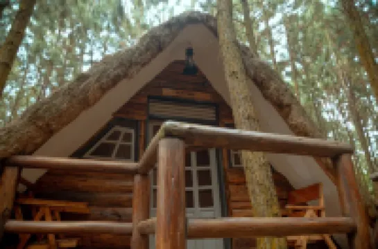 Nyungu Yamawe Forest Park Hotels in Kyadondo