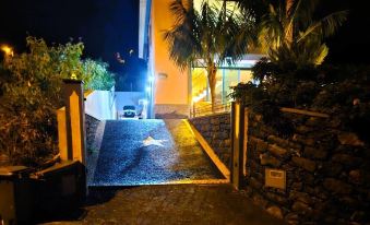 Casa da Palmeira