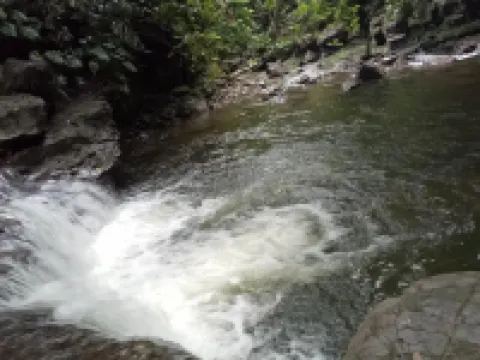 Green Lodge Tangkahan Hotels in Langkat Regency