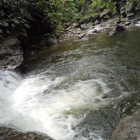 Green Lodge Tangkahan