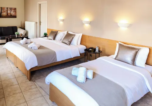 Anesis Hotel Hotels in Kozani