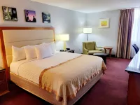 Bangor Grande Hotel Hotels in 