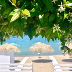 Byblos Aria-The Sea Side Luxury Villa - Homestays