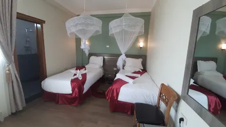 Teferi Mekonnen Hotel Отели в г. West Gojam