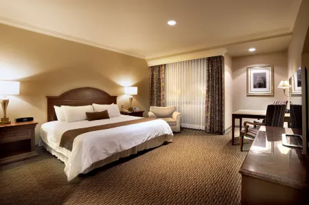 Hotel Araiza Mexicali Отели рядом с достопримечательностью «COMPUERTA SHARP»