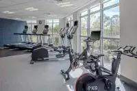 Hilton Garden Inn Charleston / Mt. Pleasant - Fitnessstudio