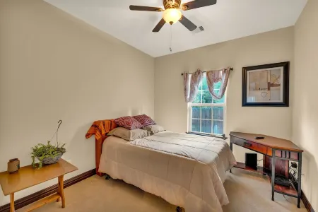 Forest Escape Lake Conroe