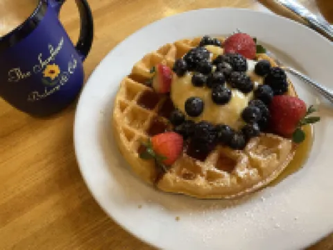 Secure Fenced Yard and Modern Comforts - Charming Cozy Retreat