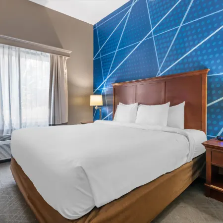 Comfort Suites Ocala North