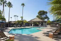 Delta Hotels Phoenix Mesa - piscine