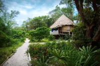 Kactus-Your Island Sanctuary on Koh Ta Kiev