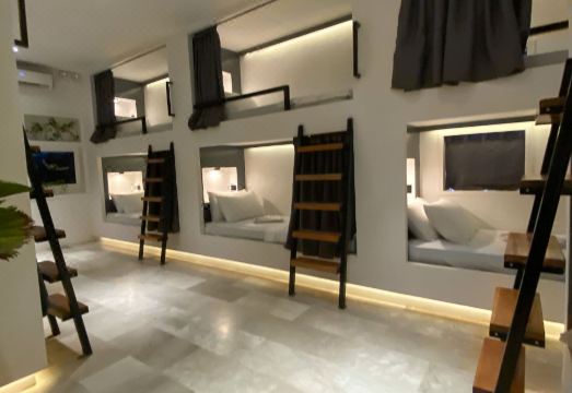 5. 와일드 몽키스 ..