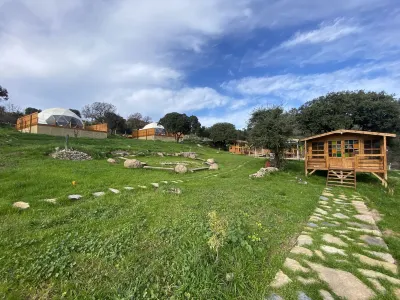 Bodrum Dome Suites Hotels near Ykm