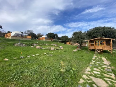 Bodrum Dome Suites Отели в г. Bitez