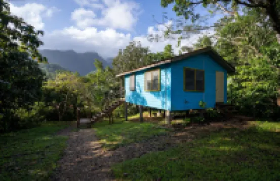 T.R.E.E.S Research Center and Eco Lodge Hotels in 