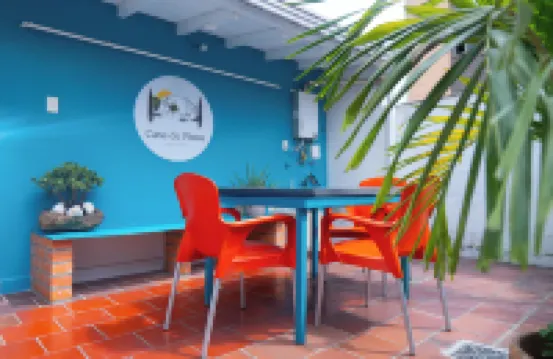 卡薩德皮諾斯酒店