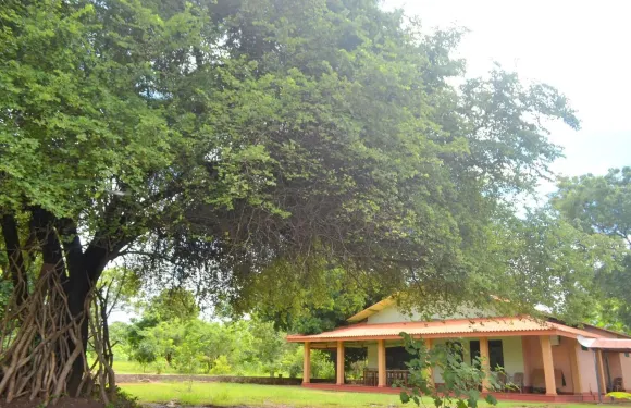 迪薩拉度假度假村