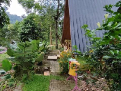 Green Forest Tangkahan Hotels in Langkat Regency
