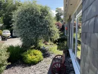 Holiday Cabin Sleeps 5 Caernarfon Snowdonia Hotels near Caernarfon Castle