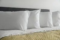 The Mint Motel Отели в г. Рок-Спрингс