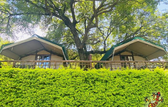 Sabie River Bush Lodge