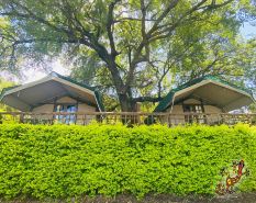 Sabie River Bush Lodge