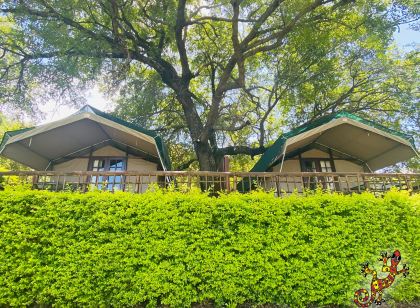 Sabie River Bush Lodge