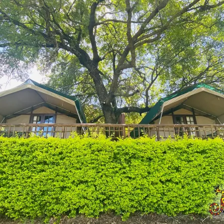 Sabie River Bush Lodge