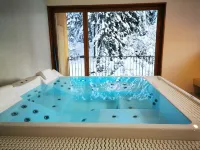 Campra Alpine Lodge & Spa Hotels in Blenio