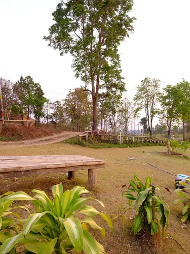 รูปภาพของภูจันทร์แดง Phuchandang Resort