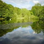 Les gîtes Insolites de l'Etang d'Anty Hotel a Saint-Nabord