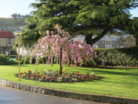 289 Midway Motel Hotels in Oamaru