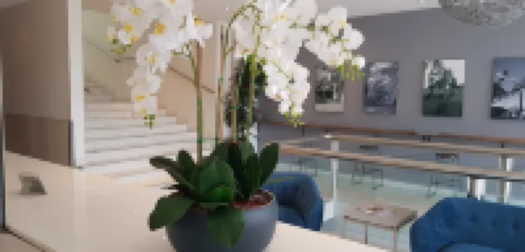 ザ グランド モーテル