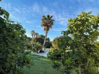 Escapades Lointaines