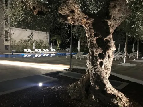 Youmami Suite Hotel Wellness&Spa فنادق في Tortoreto