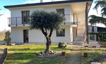 B&B Airport Venice Diego 2