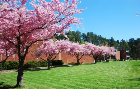 Skogshem & Wijk Отели в г. коммуна Лидингё