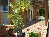Zsanett Hotel Hotels in Balatonkeresztur