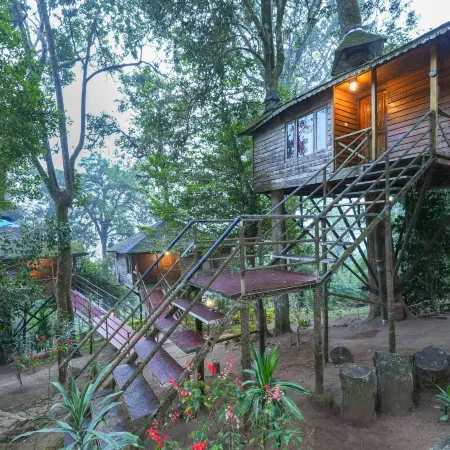 Nature Zone Jungle Resort- Experience the Wilderness & Adventure