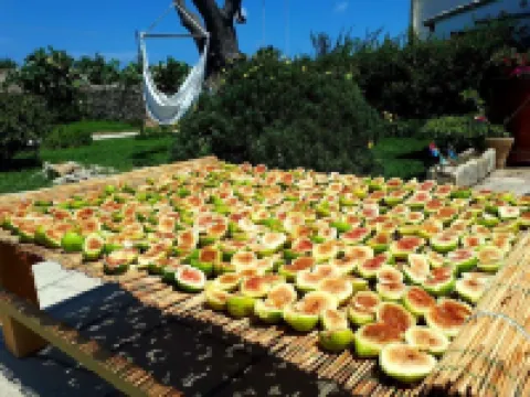 MASSERIA SALENTINA "Costarella"