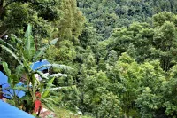 Jungle Crown Organic Homestay - Mountain view