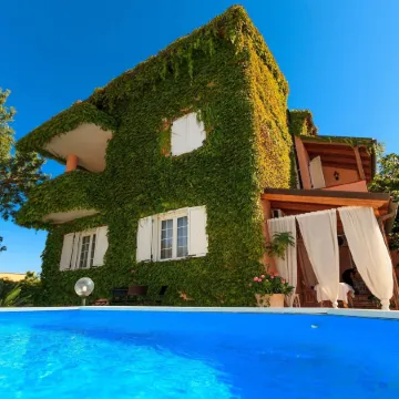 Il Giardino Delle Jacaranda